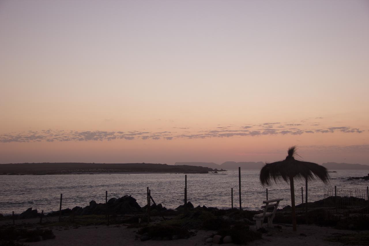 Refugio Humboldt Vila Punta de Choros Exterior foto