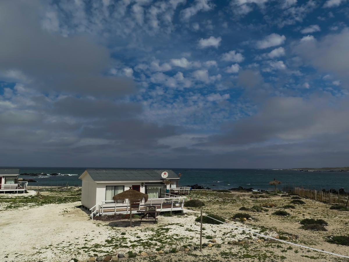 Refugio Humboldt Vila Punta de Choros Exterior foto
