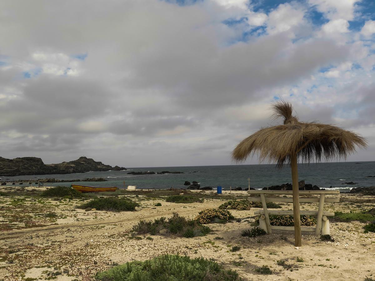 Refugio Humboldt Vila Punta de Choros Exterior foto